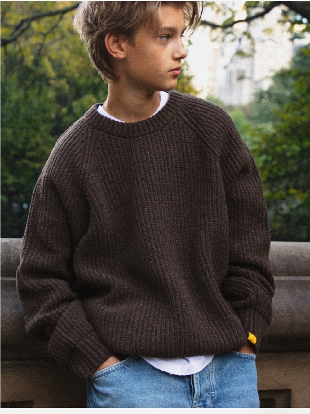 Brown Chunky Knit Crewneck Sweater
